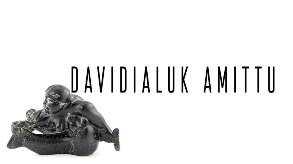 Feature image for Davidialuk Amittu collection